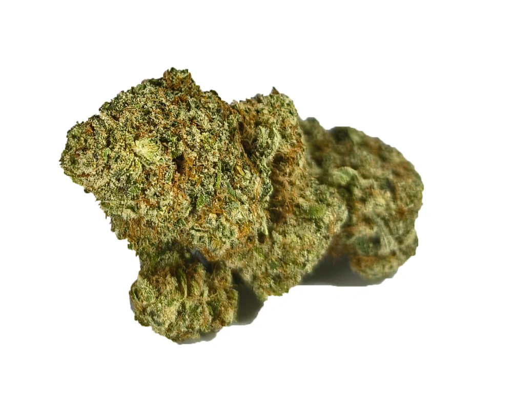 10g/20g  balení