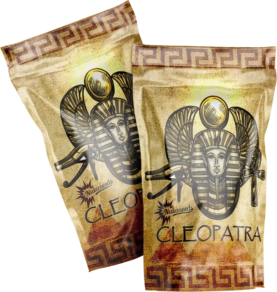 CLEOPATRA - semínka - FEMINIZOVANÝ CBD - 3ks