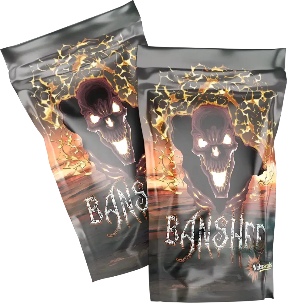 BANSHEE - semínka - SAMOKVETOUCÍ - 3ks