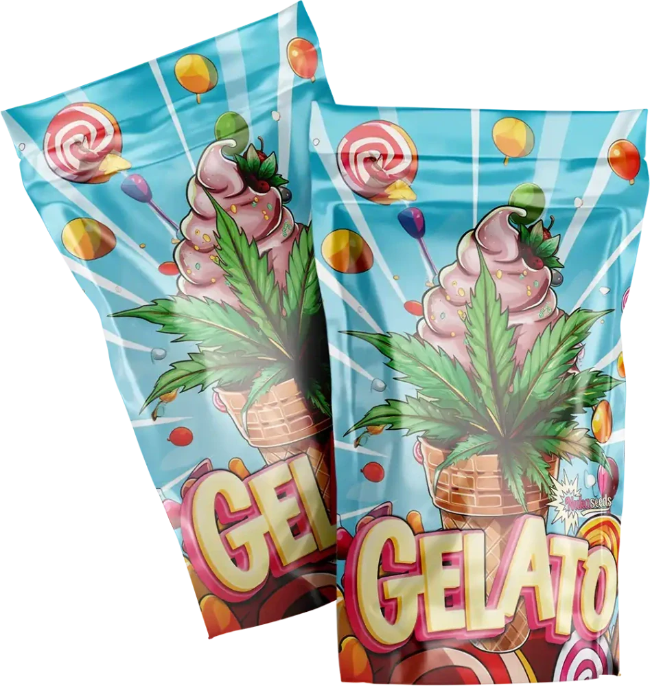 GELATO - semínka - FEMINIZOVANÝ - 3ks