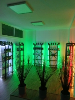 AMSTR SHOP - PML PRODEJNA - BRNO, ÚVOZ 86 
