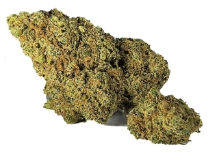 HAZE - (INDOOR) - Technické konopí - CANNABIS SATIVA L. INDUSTRIAL HEMP - k dalšímu zpracování