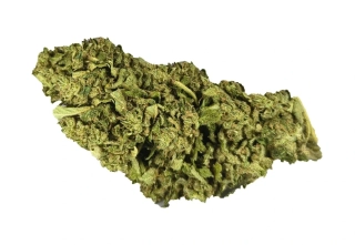 PINEAPPLE - (GLASSHOUSE) - Technické konopí - CANNABIS SATIVA L. INDUSTRIAL HEMP - k dalšímu zpracování - balení 10g